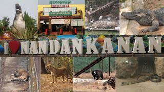 Indias 2nd largest Zoo  Nandankanan Zoological Park Bhubaneswar  Nandankanan Zoo full tour [upl. by Einittirb]