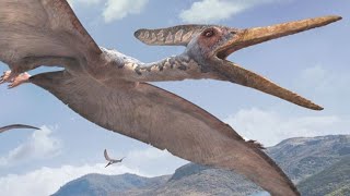 Dinossauros Predadores  Velociraptor  Pterodáctilo  Pelagornis [upl. by Onifled617]