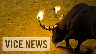 Toros en las calles de España Animalistas vs taurinos [upl. by Ewell913]