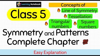 Symmetry and Patterns Complete Chapter [upl. by Martinelli]