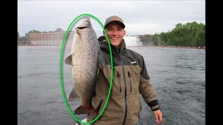 World Record Brook Trout Fishery  Day 1 Nipigon River Adventures [upl. by Haliled]