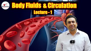 Cardiac Cycle  Body Fluids and Circulation Class XI Meritnationcom [upl. by Quirk529]