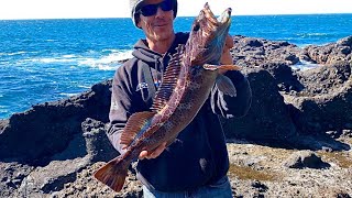 Rock Fishing The Oregon Coast Lingcod FISHING HEAVEN [upl. by Llejk]