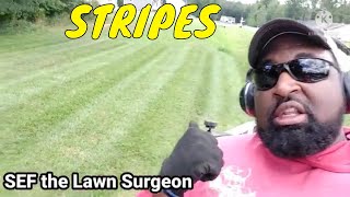 How To Stripe  Mow Tall Grass without Leaving Clippings or Clumps [upl. by Emmey]