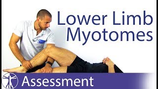 Myotomes Lower Limb  Peripheral Neurological Examination [upl. by Wilinski]