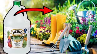 8 Uses of Vinegar in the Garden THAT WILL AMAZE YOU [upl. by Runstadler]