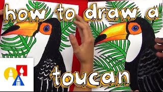 How To Draw A Realistic Toucan [upl. by Ferd488]