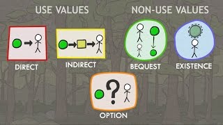 Valuation of Ecosystem Services Classes of Values [upl. by Aneleh]