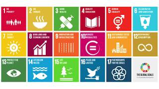 UN Sustainable Development Goals SDGs What They Are amp Why Theyre Important [upl. by Nyrek859]