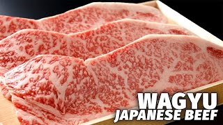 Japans Most Expensive Beef  Wagyu [upl. by Kcirdot429]