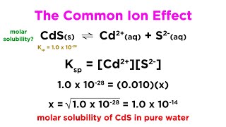 The Common Ion Effect [upl. by Aremaj384]