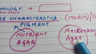 Gram negative bacilli  easy lecture [upl. by Drahcir462]