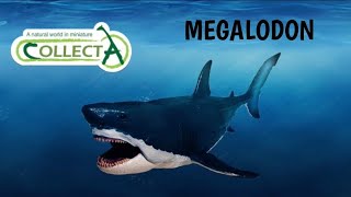 CollectA 2020 Deluxe Megalodon review [upl. by Marriott870]