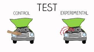 Research Methods Experimental Design [upl. by Yretsym]