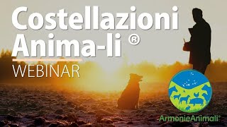 Costellazioni Sistemico Famigliari per gli Animali [upl. by Urion]