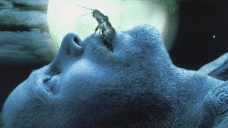 Official Trailer Creepy Crawlers 2000 [upl. by Selfridge]