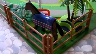 playmobil centre equestre pas troté1 [upl. by Creigh680]