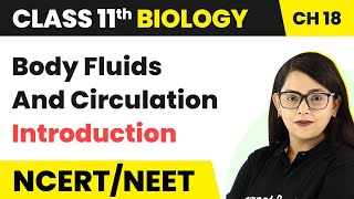 Body Fluids And Circulation Class 11NCERTChapter 18Quick Revision SeriesNEETAIIMSJIPMER [upl. by Aimet514]