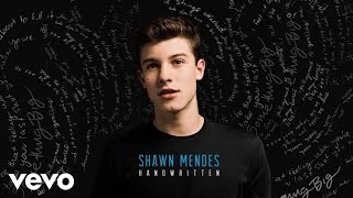 Shawn Mendes  Bring It Back Official Audio [upl. by Ardnnaed600]