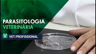 Parasitologia Veterinária I VET Profissional [upl. by Won540]