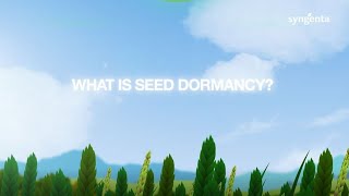 What is seed dormancy [upl. by Davena]