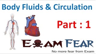 Biology Body Fluids amp Circulation part 1 Introduction Blood CBSE class 11 XI [upl. by Notned]