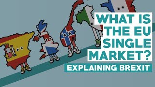 European Single Market  Explaining Brexit [upl. by Chelsey]