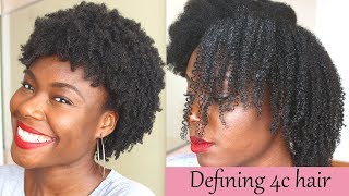 Defined curls on 4c natural hair using the LOC method no gel [upl. by Elysia]