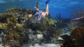 Snorkeling Southwest Reef New Providence Bahamas [upl. by Ttocserp]