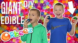 GIANT Edible Orbeez  Orbeez Crush Food Challenge [upl. by Kcirtapnhoj668]