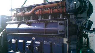 Sulzer Marine Engine 6ASL 2530 Generator Set [upl. by Ogilvie]