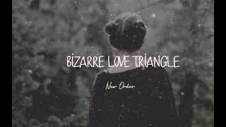 Bizarre Love TriangleLyrics New Order Frente [upl. by Anauqat]