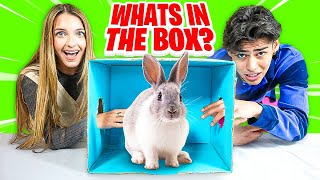 WHATS IN THE BOX CHALLENGE  Lexi Rivera amp Andrew Davila [upl. by Nnylarak]