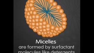 Micelle Function Structure and Formation [upl. by Hamforrd]