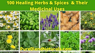 Top 100 Best Healing Medicinal Herbs Spices And Plants Names Health Benefits And Medicinal Uses [upl. by Haronid]