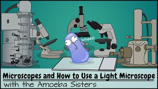 Microscopes and How to Use a Light Microscope [upl. by Mandi]