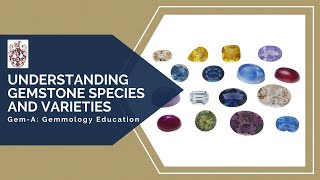 GemA Live Understanding Gemstone Species and Varieties [upl. by Alleunam]