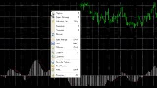 How to load your charts in MetaTrader 4 MT4 [upl. by Riatsila987]