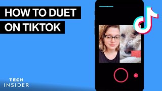 How To Duet On TikTok [upl. by Mighell741]