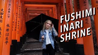 Fushimi Inari Shrine in Kyoto  Hike through 10000 Gates [upl. by Nerhe755]