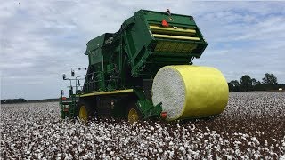 John Deere CP690 Cotton Picker in Action  Seminole County Georgia [upl. by Atirabrab]