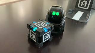 Meet Vector the smart robot assistant [upl. by Acinad]