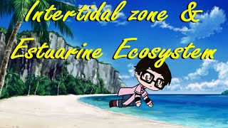 Science Grade 5 Intertidal Zone and Estuarine Ecosystem [upl. by Serra288]