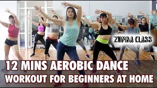 12 mins Aerobic dance workout for beginners at home l Aerobic dance workout easy steps l Zumba Class [upl. by Airec]