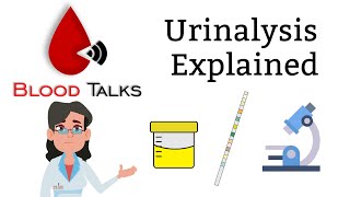 urinalysis explained full  Whats in your urine [upl. by Leor]