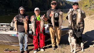 Snohomish River Smile Blade Coho [upl. by Zerla]