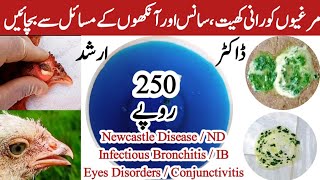 How to Prevent Newcastle Disease  ND Infectious Bronchitis and Chicken Eye Problems  Dr Arshad [upl. by Aratnahs]