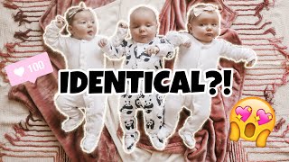 Are the TRIPLETS Identical or Fraternal DNA Results Confirmed [upl. by Fenner]