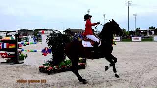 Horse show jumping falls compilation [upl. by Senecal519]