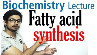 Fatty acid synthesis [upl. by Jeni]